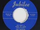 Doo-Wop 45 - Orioles - I'm Just A Fool In Love - Jubilee - mp3