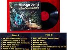 LP Mungo Jerry: In the Summertime (Pye SLOPY 749) F 1970
