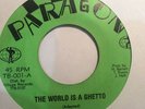 PARAGONS - the world is a ghetto - PARAGON 45