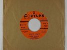 R&B 45 - Andre Williams & Gino Parks - Don't Touch - Fortune - VG++ mp3