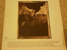 Pixies Surfer Rosa vinyl 1988 cad 803