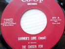 CHOSEN FEW teen garage ballad 45 SUMMER'S LOVE (VG+) b/w INST. vers (VG++) e0989