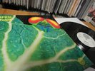 CATAPILLA CHANGES IN 1972 MINT ON VERTIGO SWIRL RARE