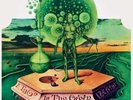 nektar - a tab in the ocean  - 2-LP-  VINYL reissue