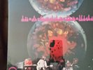 Iron Butterfly 