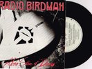 RADIO BIRDMAN - ALOHA STEVE AND DANNO - RARE 7