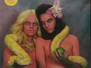 SOFT HAIR Soft Hair LP Vinyl NEW Debut