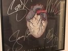 Alice In Chains SIGNED Black Gives Way To Blue Limited Vinyl LP Jerry Cantrell