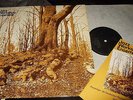 JAZZ WORKSHOP ENSEMBLE : SAME RARE PRIVATE PRESSING ( BRUTKASTEN ) LP 1980 GER