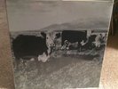 Mark Kozelek Finally LP Vinyl Black Rare OOP sun kil moon red house painters
