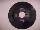 THE OTHERS - Revenge - fuzz GARAGE 45 - 1966
