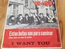THE LIONS *I WANT YOU* 1966 DANISH GARAGE FREAKBEAT SPANISH 45 T-Boones