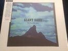 RSD 2016 Giant Sand The Sun Set 8 LP Box Calexico Sealed Brand New