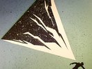DJ SHADOW - The Mountain Will Fall - Vinyl (2xLP)