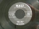 THE ILLUSIONS Hey Boy MALI hear soundclip