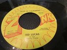 TED LUCAS MICHIGAN GARAGE FUZZ ON ZONK LABEL HEAD IN CALIFORNIA /MY DOG
