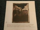 Pixies surfer Rosa Ex 1st press vinyl record CAD803 GREAT COPY