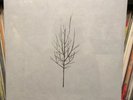 Low Ones And Sixes MINT Double Sub Pop Vinyl Record LP (2015)