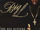 Big L - The Big Picture (1974 - 1999) '00 2xLP US ORG  DJ Premier Lord Finesse