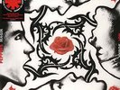 *MUST SELL* Red Hot Chili Peppers ?– Blood Sugar Sex Magik - 2 x LP - Near Mint