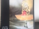 Tall Dwarfs Louis Likes His Daily Dip lp Flying Nun New Zealand FN NZ Psych DIY
