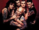 ROSE TATTOO - SCARRED FOR LIFE (180GM) (IMPORT) NEW VINYL