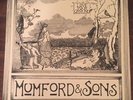 Mumford and Sons Vinyl 10