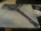 FREE/SAME  ILPS9104 GTOVG/NM PINK RIM  LP