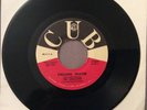 The Zebulons Original 45RPM Falling Water/Wo-Ho-La-Tee-Da