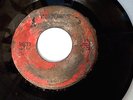 THE HOOTERVILLE TROLLEY  No Silver Bird/Warmth Love (Rare Psych Rock Garage 45)