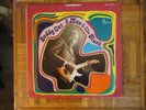 Buddy Guy,A Man & The Blues,Vanguard Label,Stereo,LP