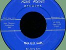 JERRY ANN & LAS VEGAS CATS (Jesse Thomas) Go Go Girl 45rpm Red River 1965