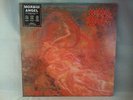 Morbid Angel Blessed Are The Sick LP RARE Original 1st Press 91 Earache Death