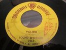 THE SOUND SPECTRUM RARE MICHIGAN PSYCH GARAGE COCONUT GROOVE LBL# 2044 VOLERO