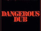 king tubby meets roots radics dangerous dub blue vinyl 1981 copasetic
