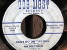 THE DEAD BEATS  CAN'T GO ON THIS WAY/TRUST ME RARE 1967 FLA GARAGE ROCK 45 HEAR