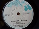 Junior Hibberts Delgado  - Really For A Reason - Ethnic Fight 7