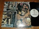 VAN HALEN 1981 