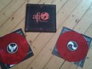 AFI - Sing The Sorrow LP sxe boy sets fire emo punk rock jimmy eat world