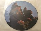 PARADISE LOST *GOTHIC* VERY RARE 1991 UK PICTURE DISC VINYL LP  VILE26P