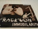Chef Raekwon Immobilarity 2XLp 12