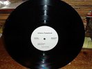 Bruce Springsteen TEST PRESSING AL 33795 BORN TO RUN PROMO LP