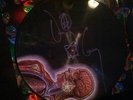 Signed/Autographed TOOL Lateralus 180 GRAM PICTURE DISC VINYL LP