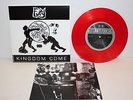 Fury - Kingdom Come 7
