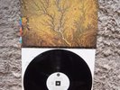 Peter Gabriel Real World Music Label Passion - Sources Original 1989 Vinyl Album