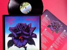 THIN LIZZY NM MINT UK 1ST LP 1979 BLACK ROSE + INNER VERTIGO SPACESHIP