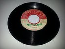 GRASS ROOTS/MASH DOWN - ROOTS [ROOTS REGGAE  7