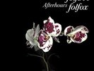 Afterhours - Folfiri O Folfox - 2 Vinili