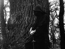Perunwit - W kr?gu d?bów LP,neu