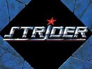 STRIDER - Strider BLACK VINYL